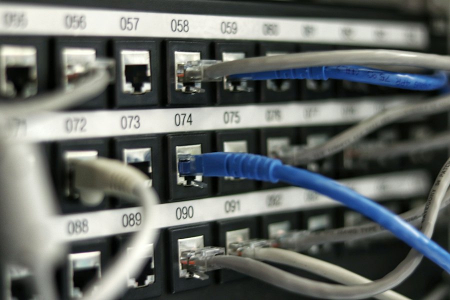 Network cables plugged into a patch panel (stock photo)